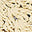 Image Swatch pour le code produit du chapeau : 100648