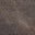 Swatch image for 137786