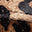 Image Swatch pour le code produit du chapeau : 212110