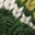Image Swatch pour le code produit du chapeau : 740466