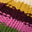 Image Swatch pour le code produit du chapeau : 740471
