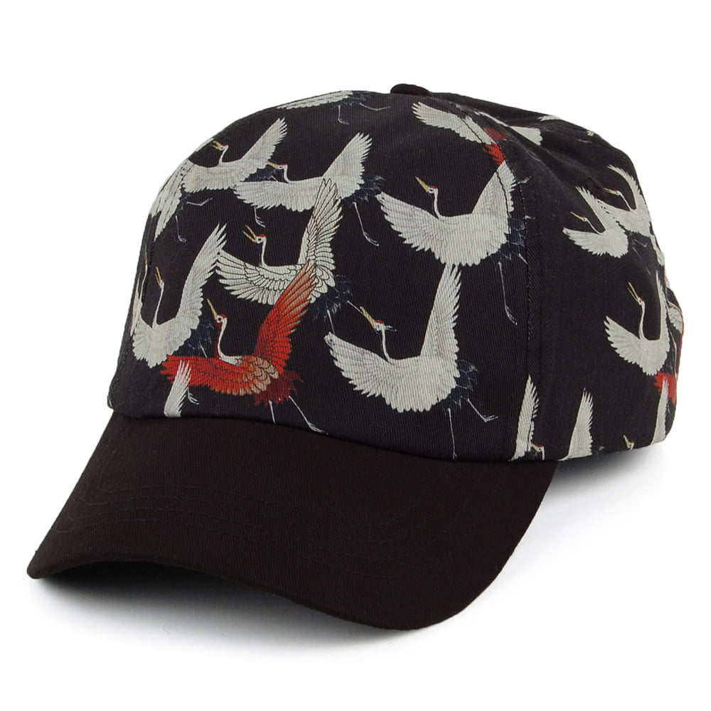 Casquette Cranebird noir BARTS