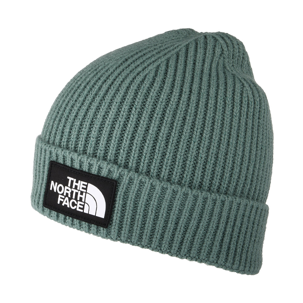 Bonnet Enfant à Revers TNF Box Logo sauge foncé THE NORTH FACE